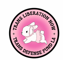 Load image into Gallery viewer, Stickers